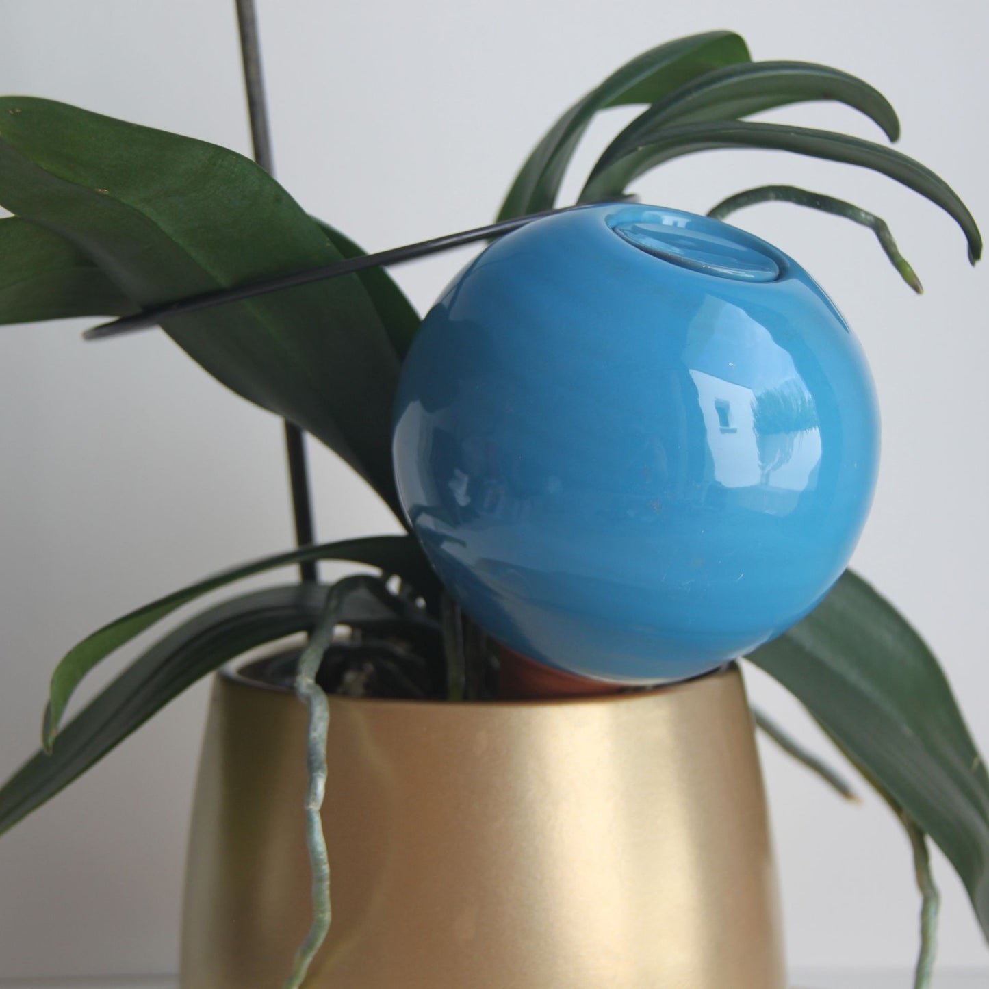 Ollas à planter