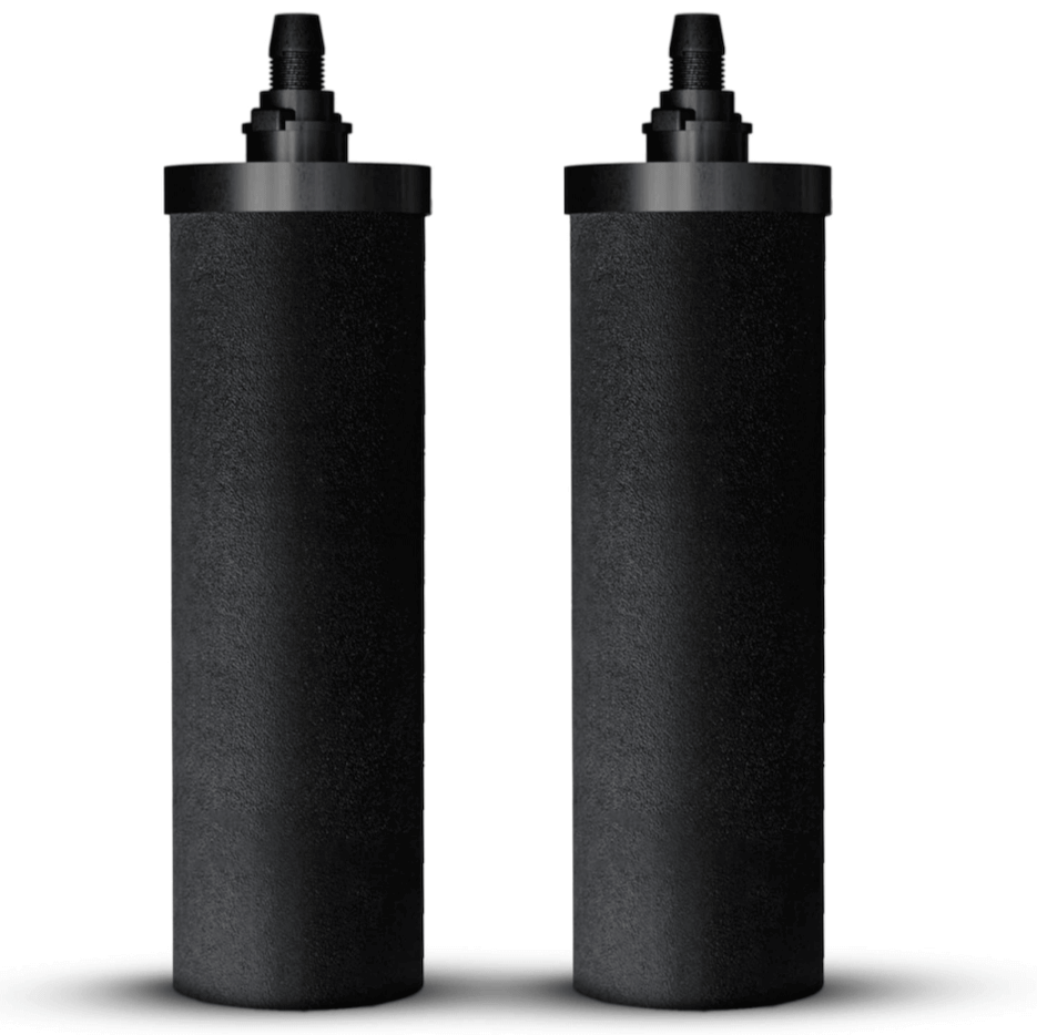 Lot de 2 cartouches filtrantes à charbon
