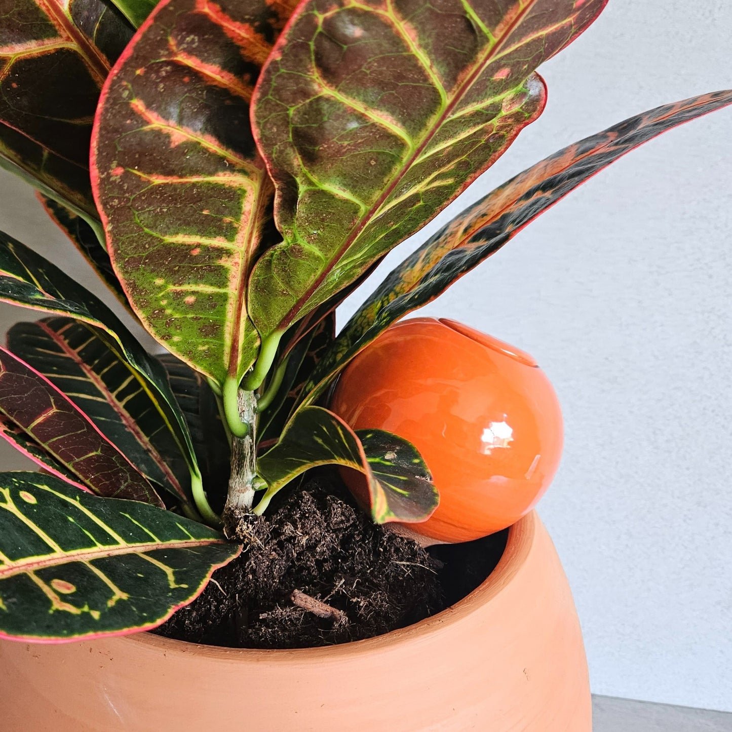 Ollas à planter
