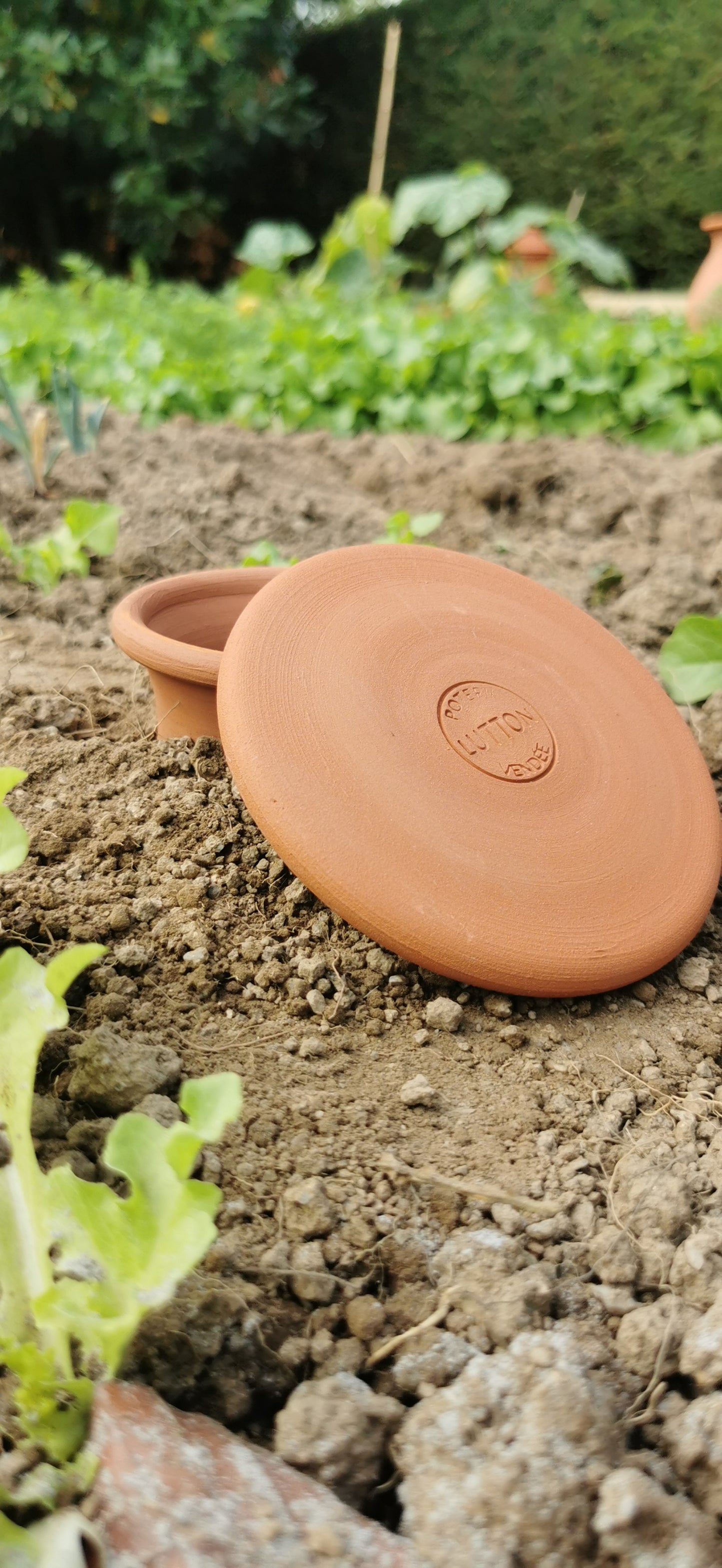 Olla à enterrer pour le potager