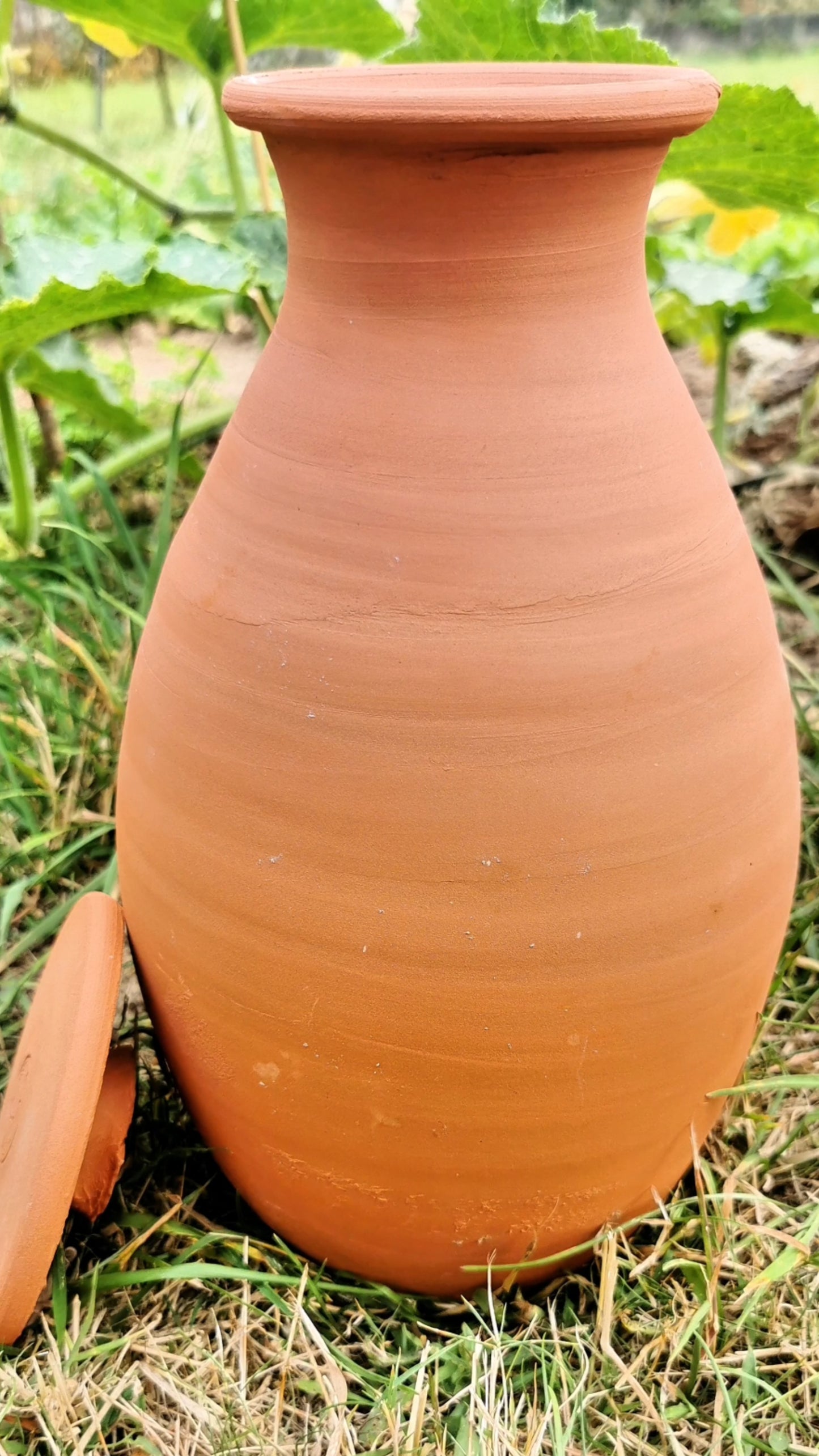 Olla à enterrer pour le potager